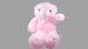 Teddy Bear LED Light Medium