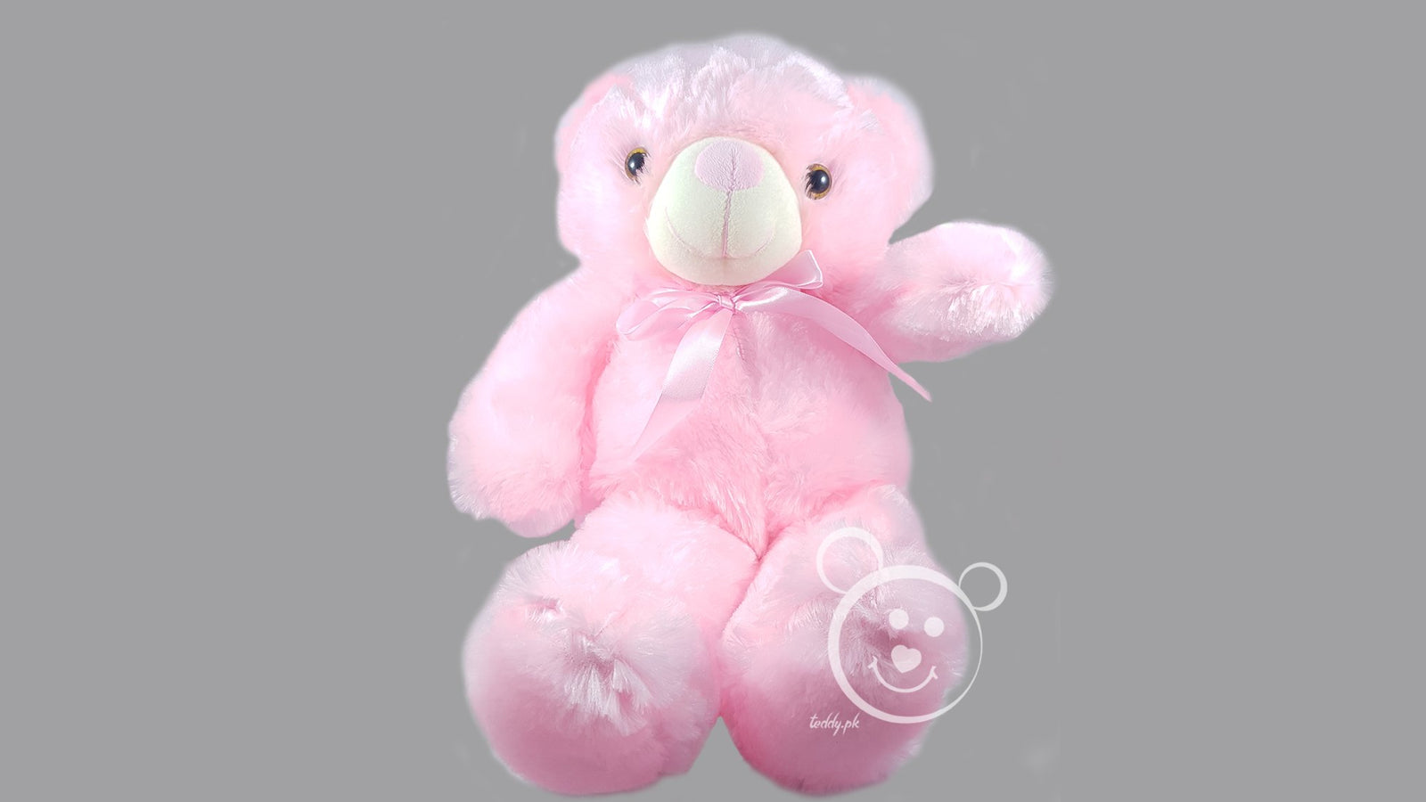 Teddy Bear LED Light Medium