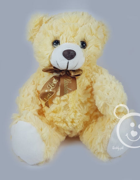 Teddy Stuff Bear Small Color 2