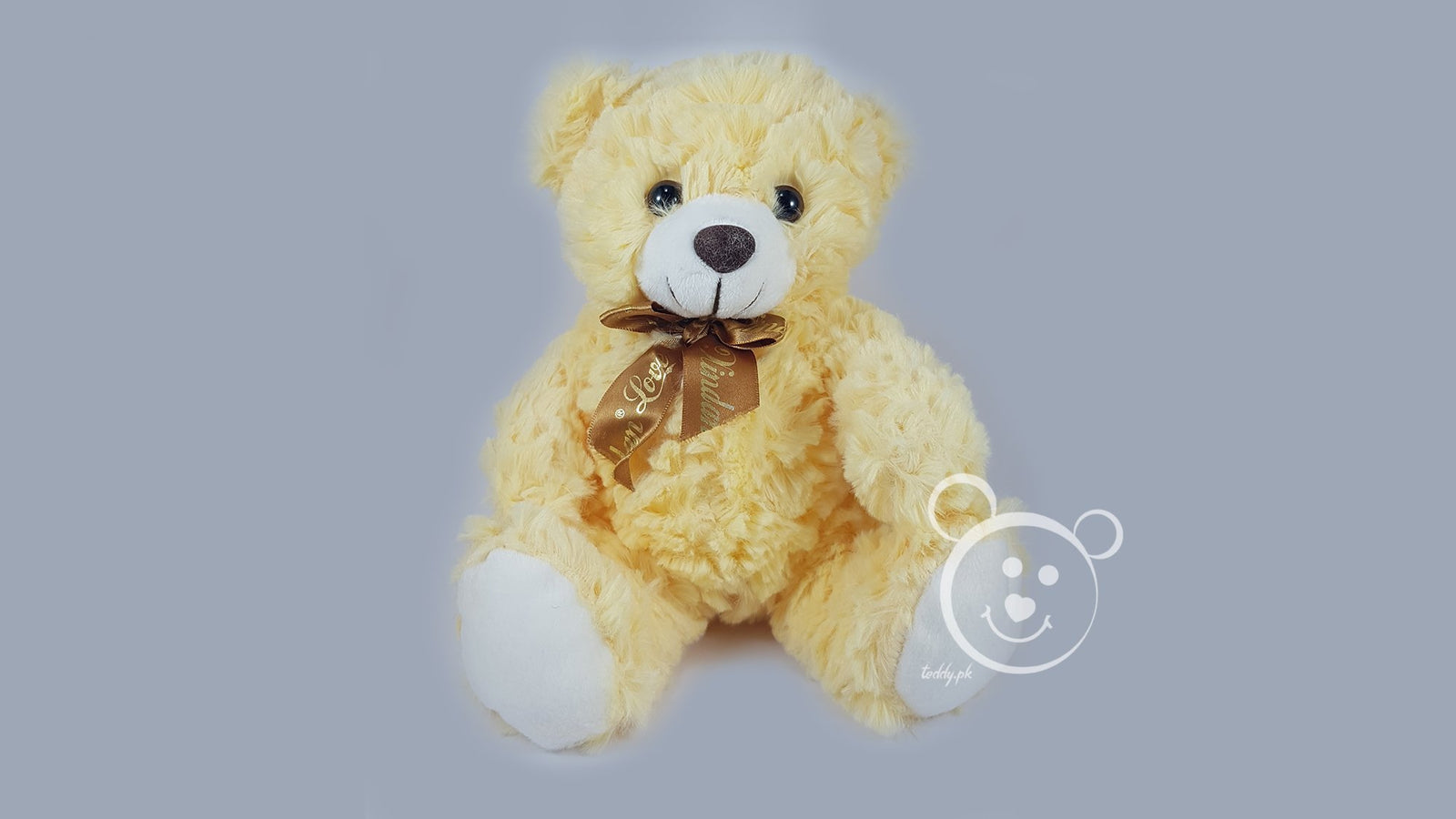 Teddy Stuff Bear Small Color 2