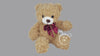 Teddy Stuff Bear Small Color 4