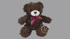 Teddy Stuff Bear Small Color 5