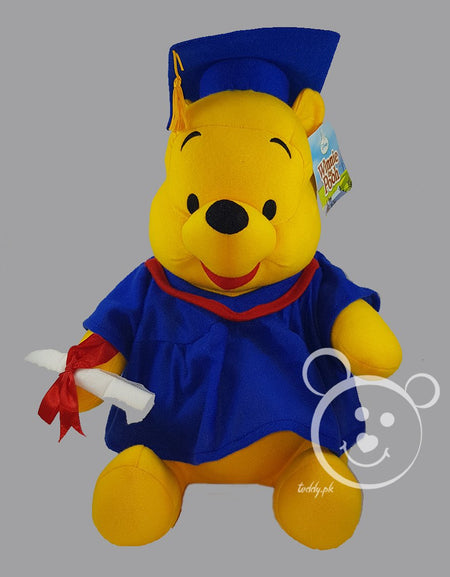 Disney Pooh Original 12 Inch - Design 1