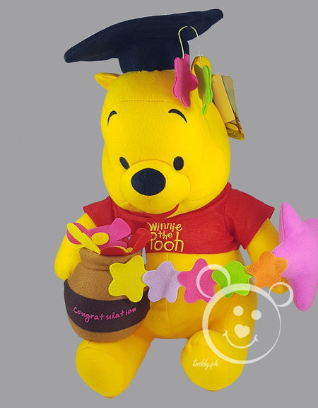 Disney Pooh Original 12 Inch - Design 2