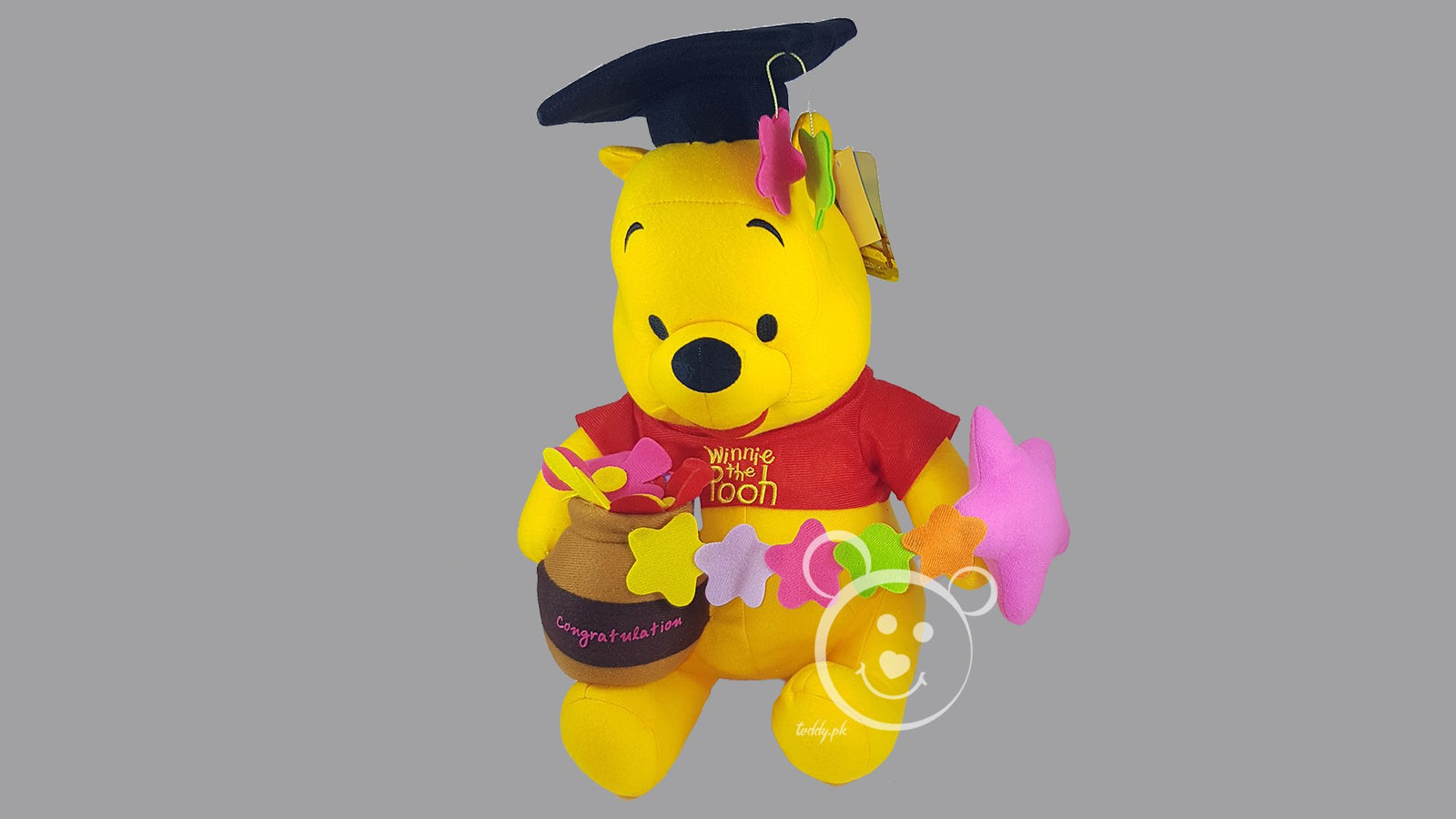 Disney Pooh Original 12 Inch - Design 2