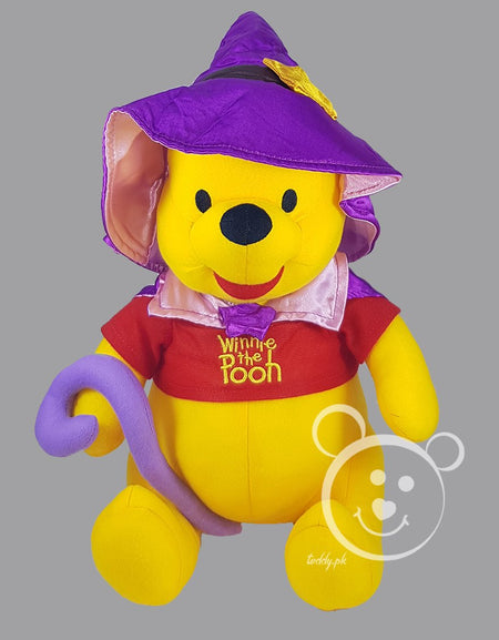 Disney Pooh Original 12 Inch - Design 5