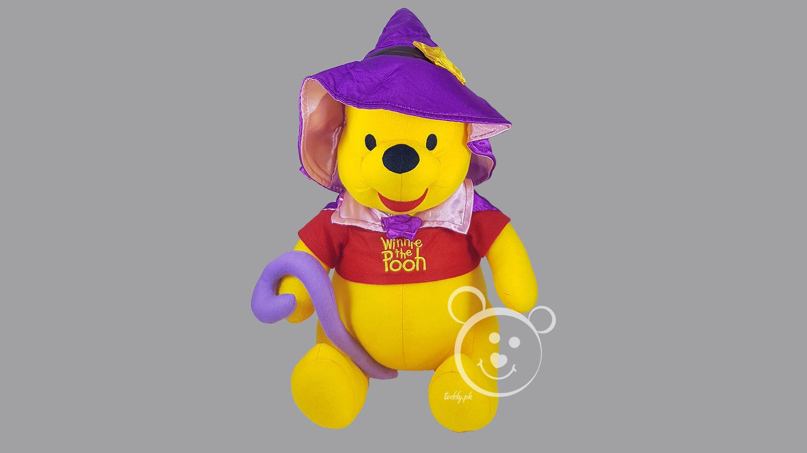 Disney Pooh Original 12 Inch - Design 5