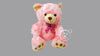 Wet Hair Teddy Bear Large - Pink