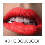 Focallure Liquid Lipstick (Lip Gloss)