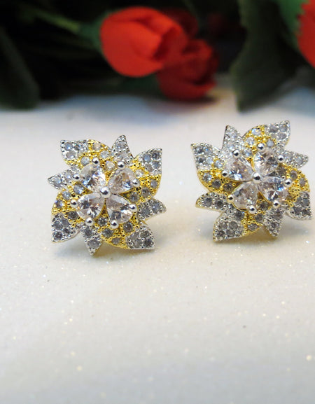 Earings with Zircon Pakistan